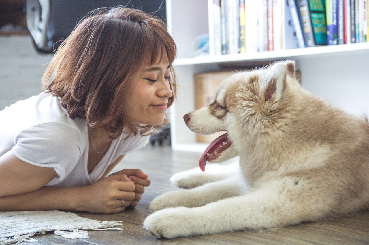 Il tuo cane soffre di alitosi? I rimedi li hai in casa!