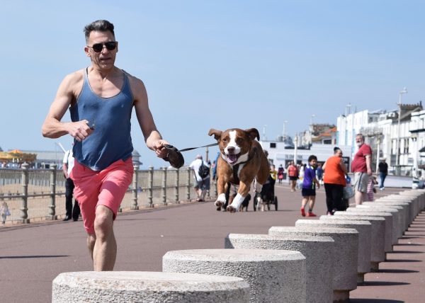 Il metodo migliore per correre con il tuo cane