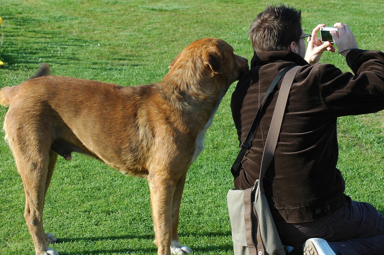 Tutti i trucchi per fotografare il tuo cane