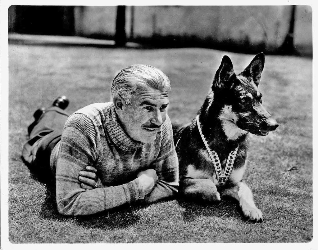 Cani famosi: Rin Tin Tin