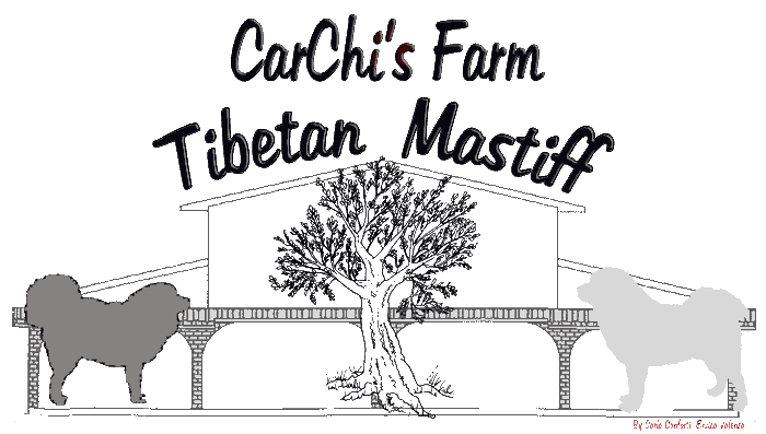 Carchi’s farm