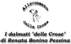 Delle crose