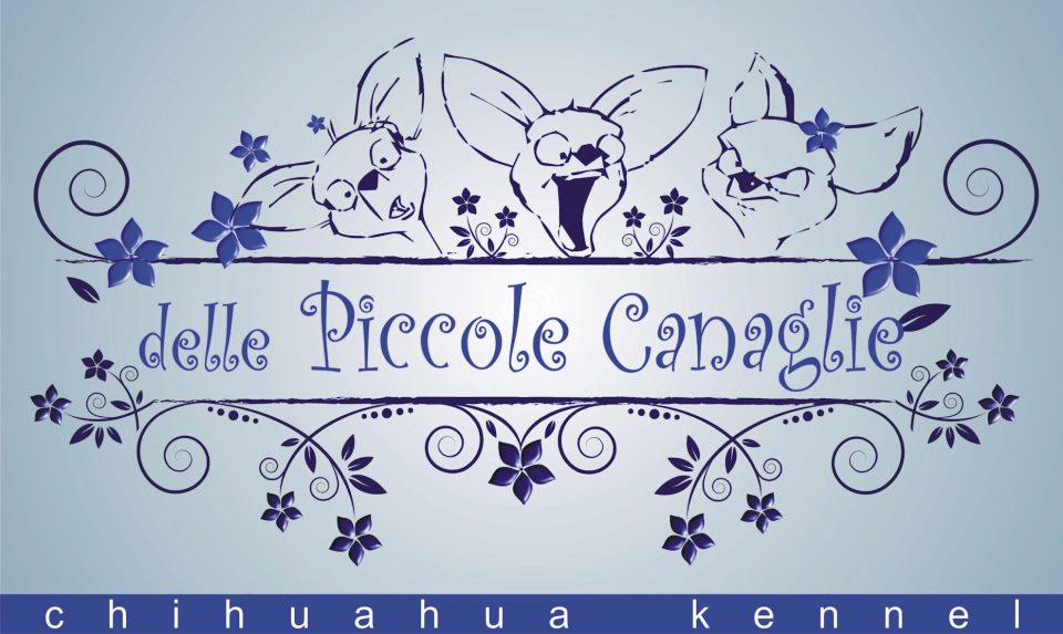 Delle piccole canaglie