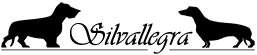 DI SILVALLEGRA