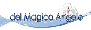 Del magico angelo