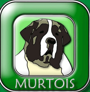 Murtoi’s
