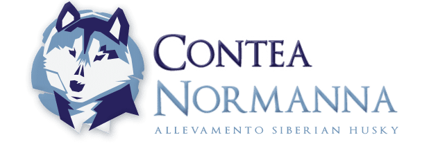 Della contea normanna