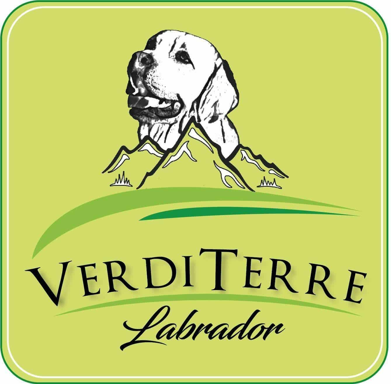 Verdi terre