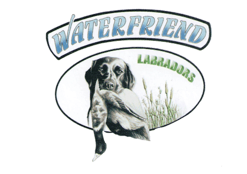 Waterfriend