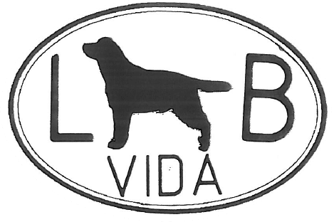 Lab vida