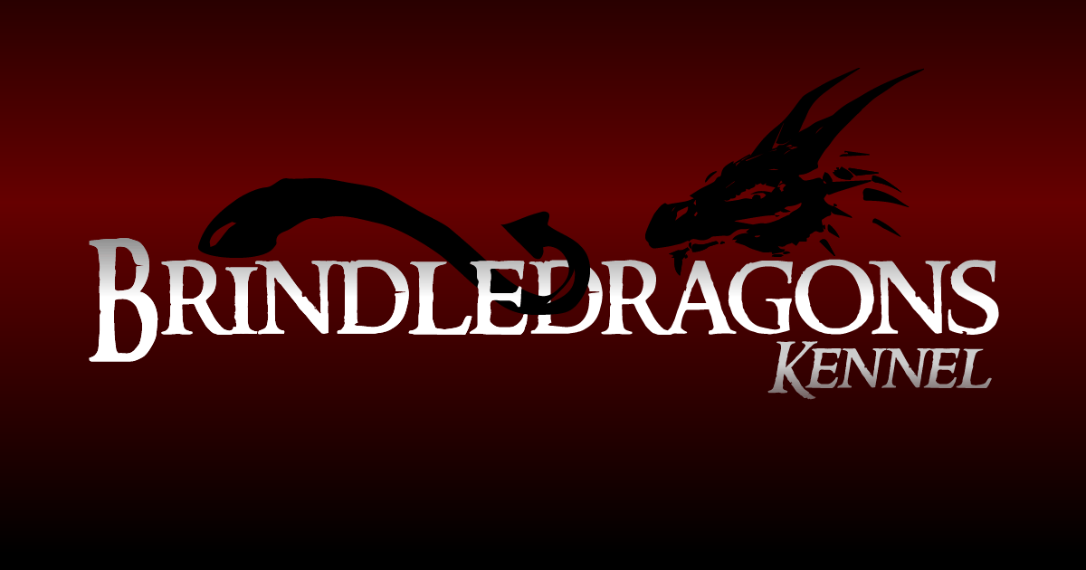 Brindledragons