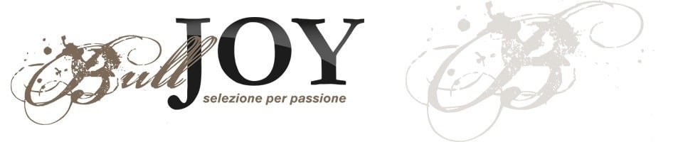 Bulljoy Italia
