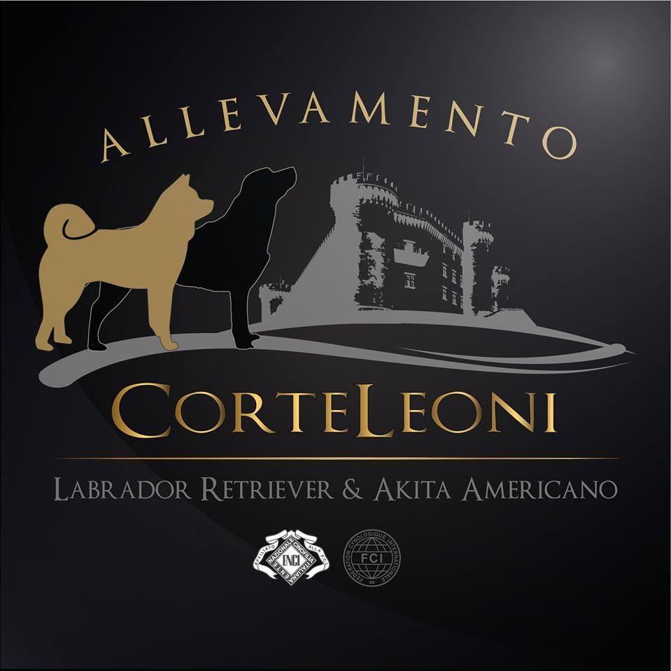 Corteleoni