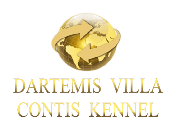 Dartemis villa contis