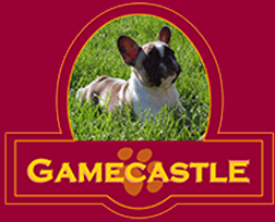 Gamecastle