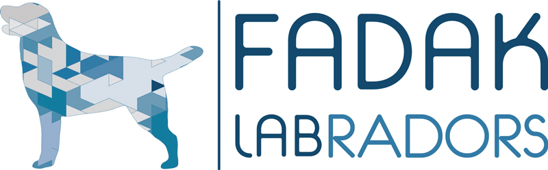 Fadaklab