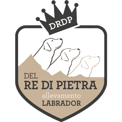 Del re di pietra