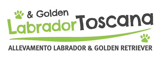Labradortoscana