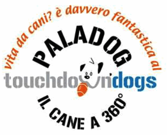 Paladog Touchdown Dogs