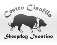 Centro Cinofilo Asd Sheepdog Isontino