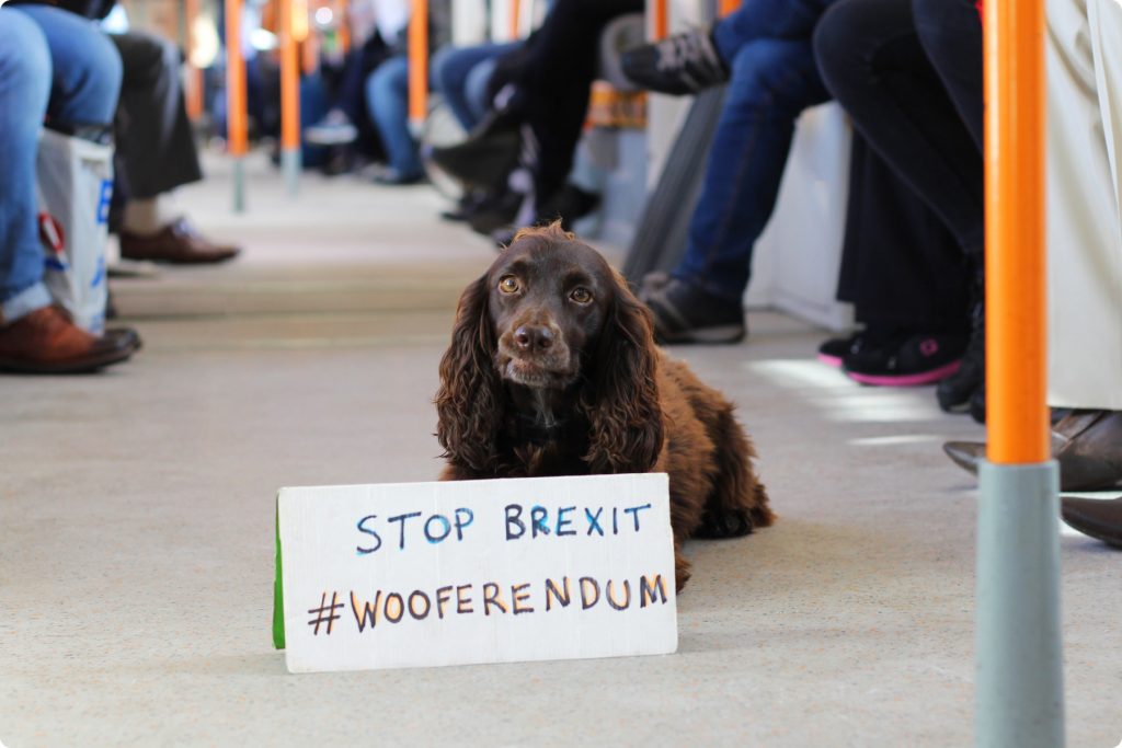 Londra: i cani sfilano contro la Brexit