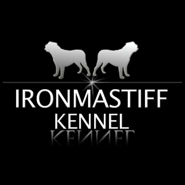 Ironmastiff-Kennel