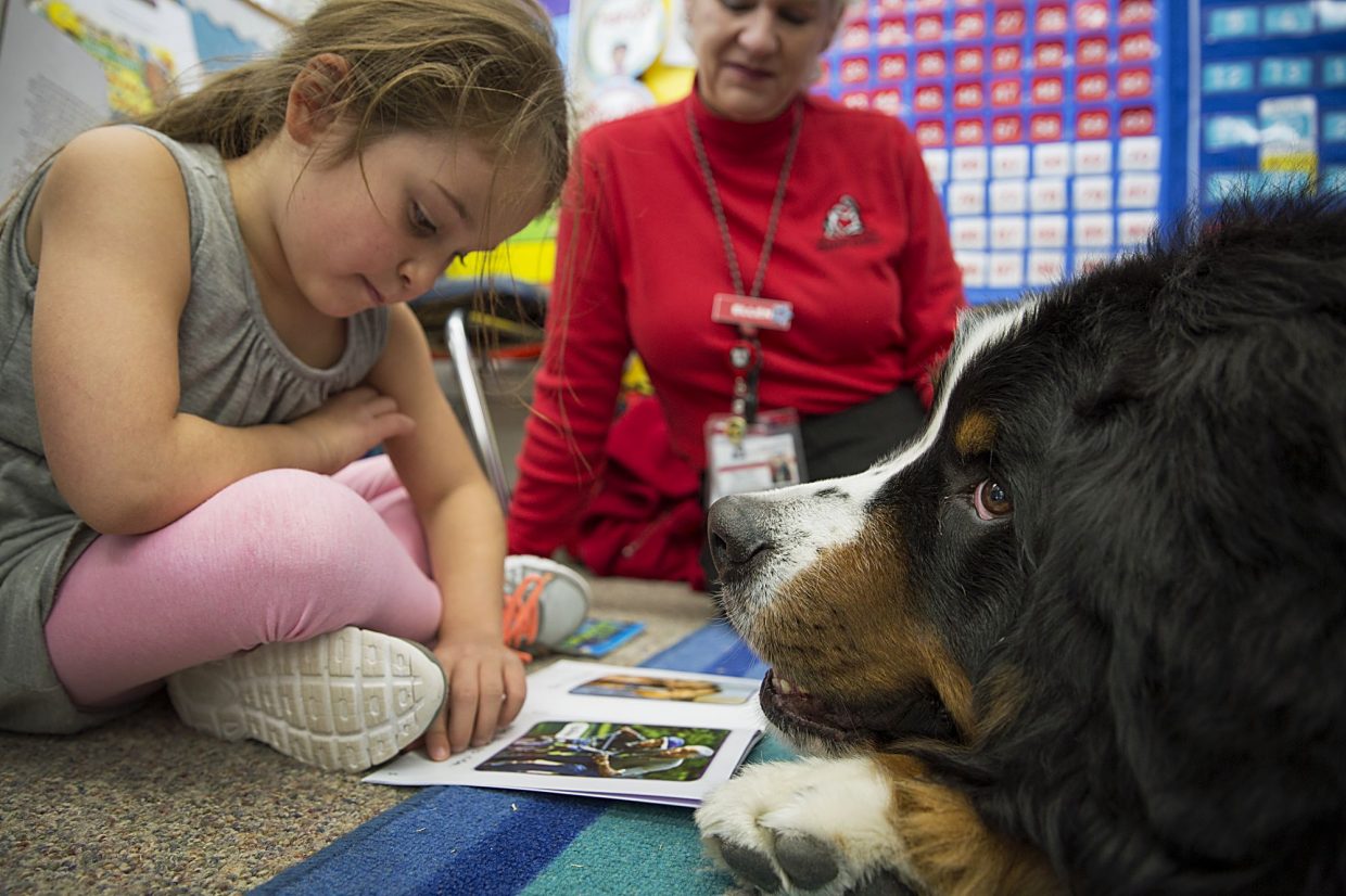 Cani in classe: parte in Sardegna il progetto sperimentale