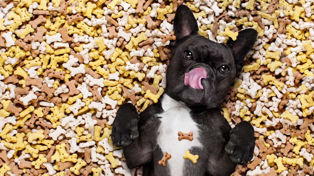 Biscotti per cani alla mela: una ricetta facile e gustosa