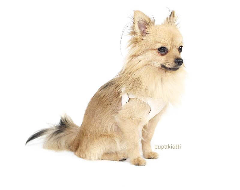 Gold. Pettorina ergonomica e regolabile fashion in pelle per cani - immagine 4